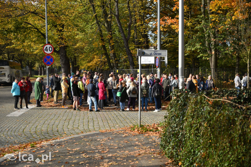 Niedzielny, jesienny spacer po Tarninowie