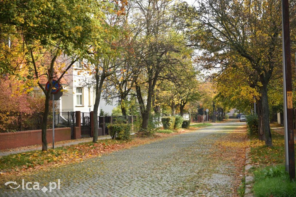 Niedzielny, jesienny spacer po Tarninowie