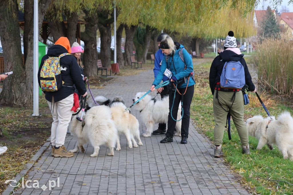 Andrzejkowy DogTrekking w Kunicach