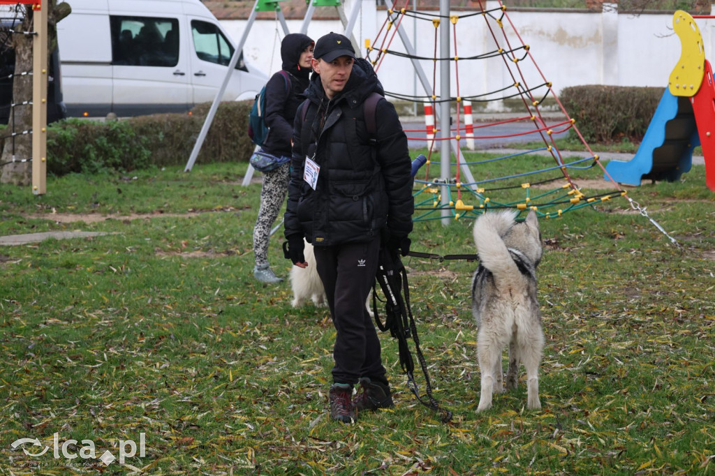 Andrzejkowy DogTrekking w Kunicach