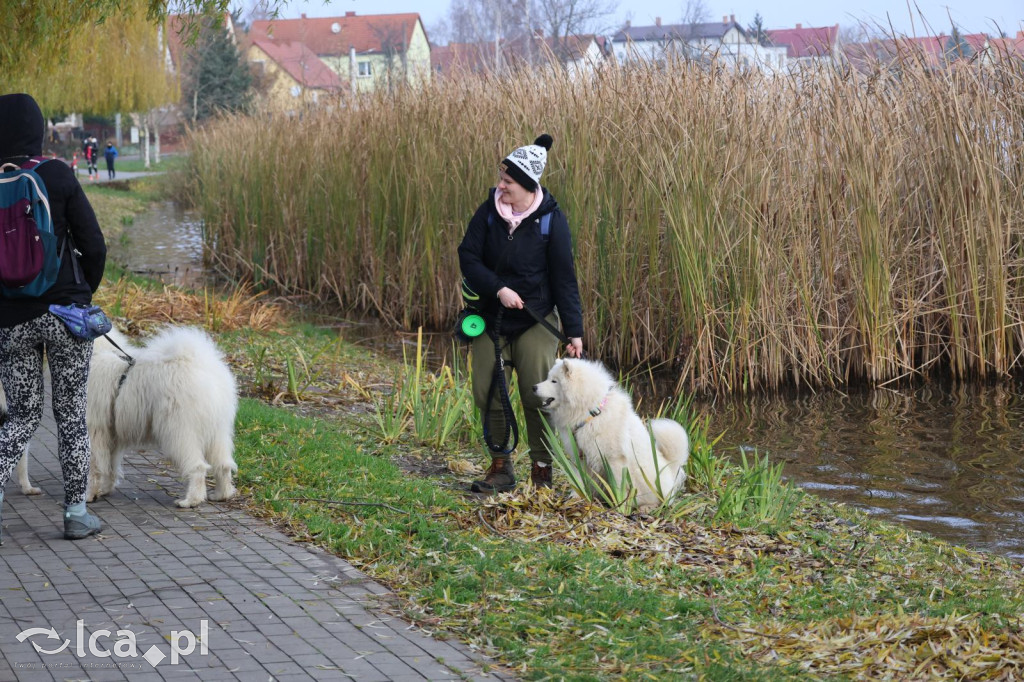 Andrzejkowy DogTrekking w Kunicach