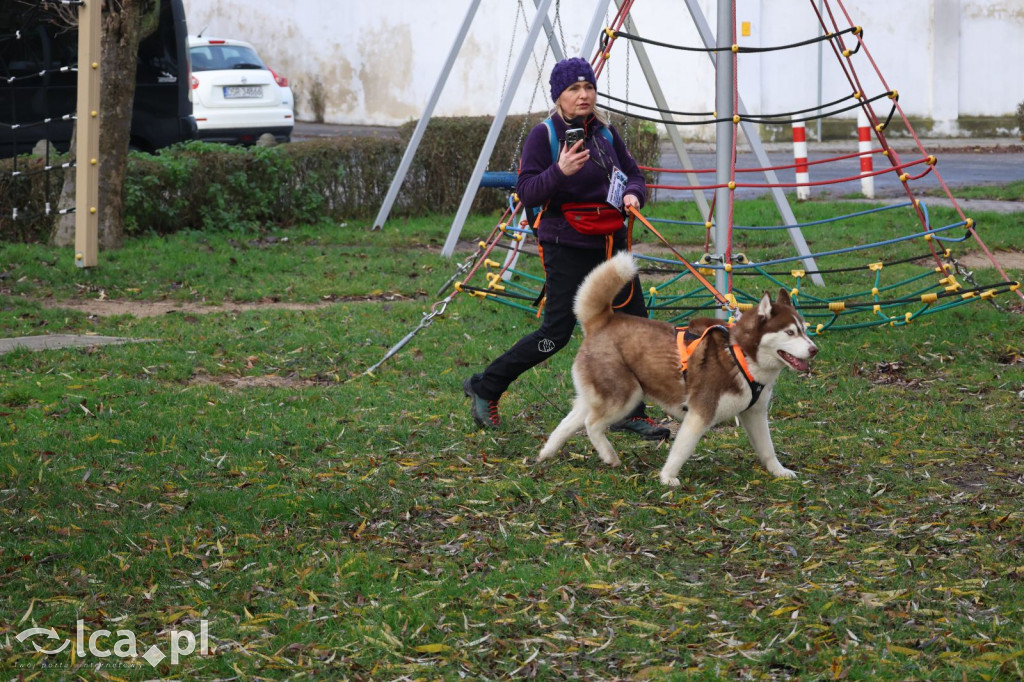 Andrzejkowy DogTrekking w Kunicach