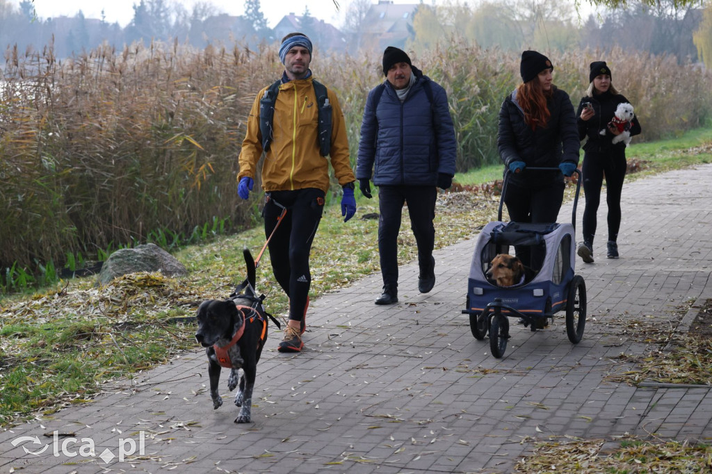 Andrzejkowy DogTrekking w Kunicach