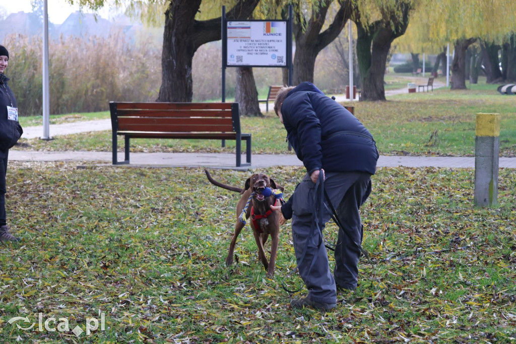 Andrzejkowy DogTrekking w Kunicach