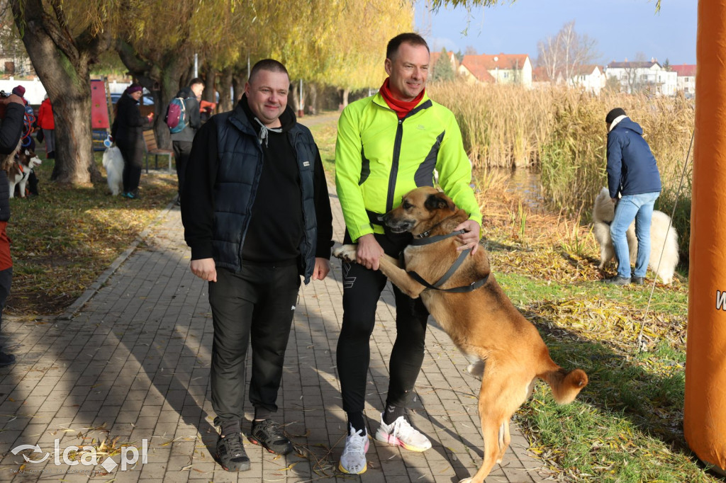 Andrzejkowy DogTrekking w Kunicach