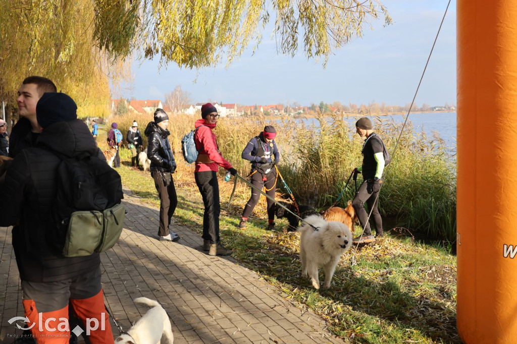 Andrzejkowy DogTrekking w Kunicach