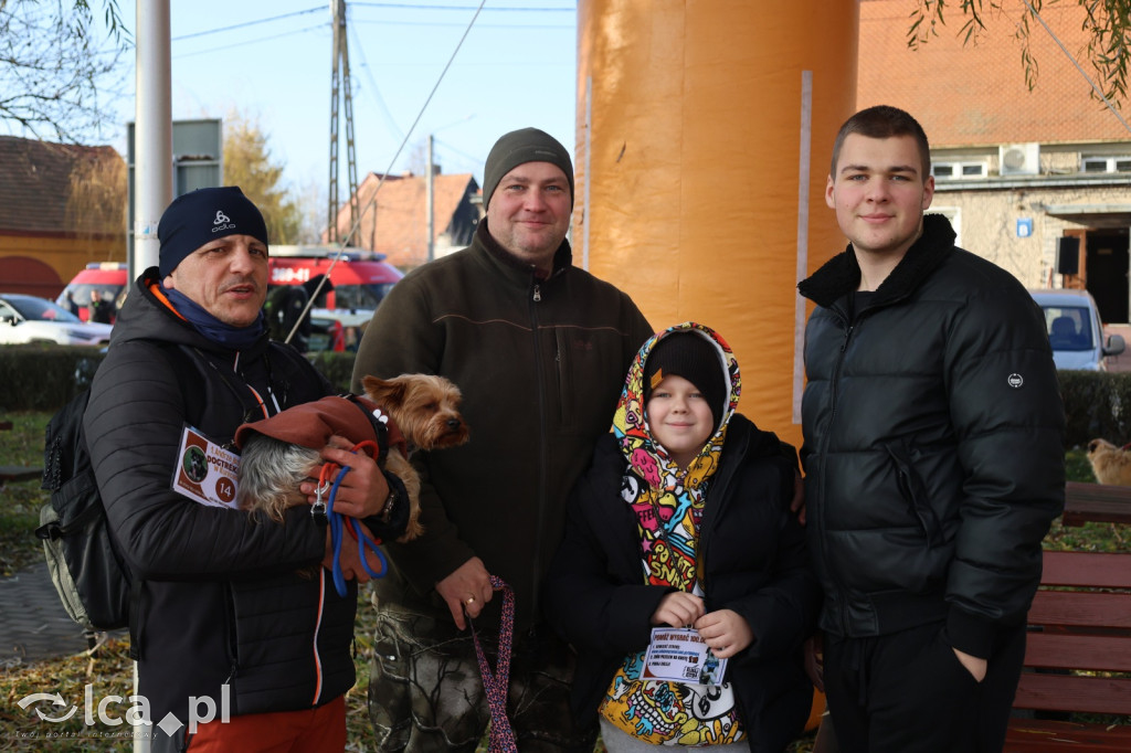 Andrzejkowy DogTrekking w Kunicach