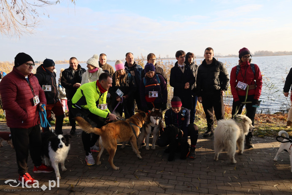 Andrzejkowy DogTrekking w Kunicach