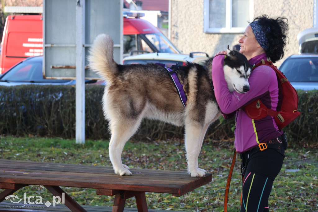 Andrzejkowy DogTrekking w Kunicach