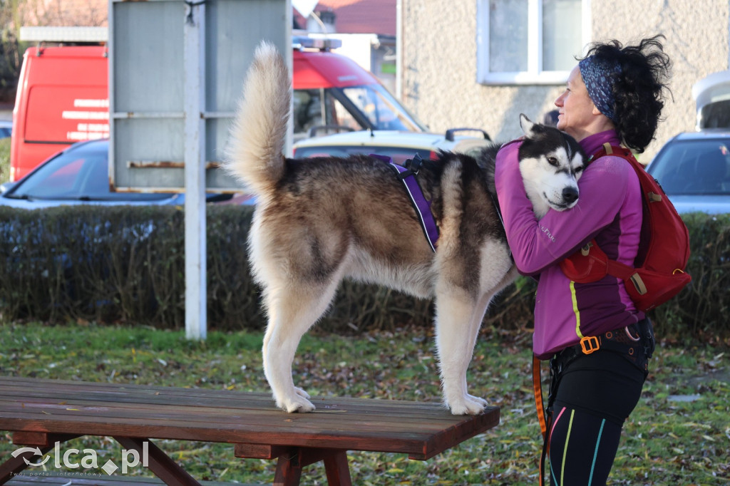 Andrzejkowy DogTrekking w Kunicach