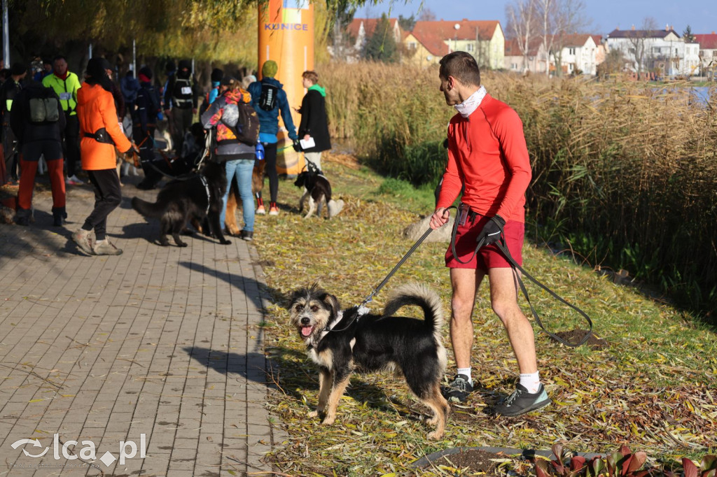 Andrzejkowy DogTrekking w Kunicach