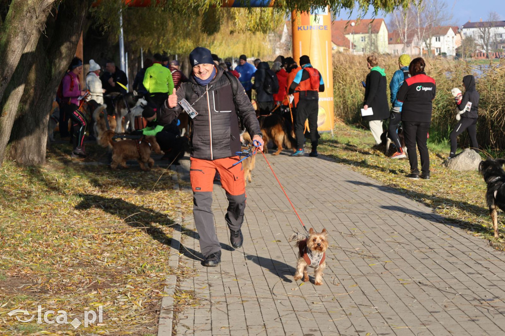 Andrzejkowy DogTrekking w Kunicach