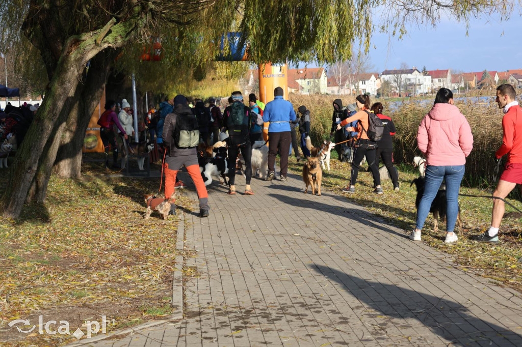 Andrzejkowy DogTrekking w Kunicach