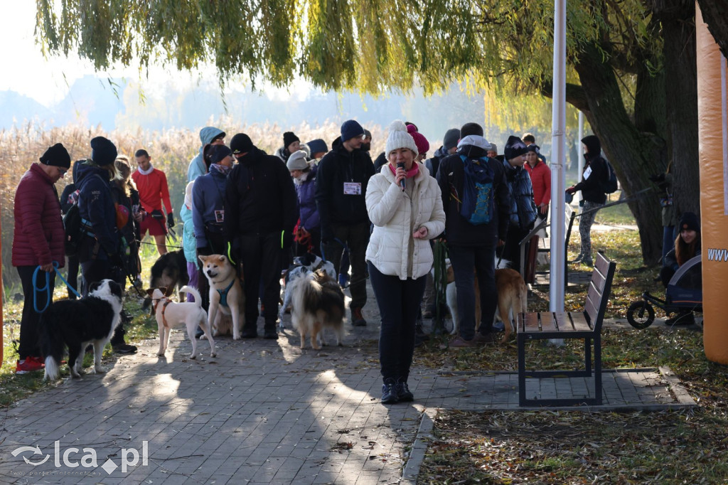 Andrzejkowy DogTrekking w Kunicach