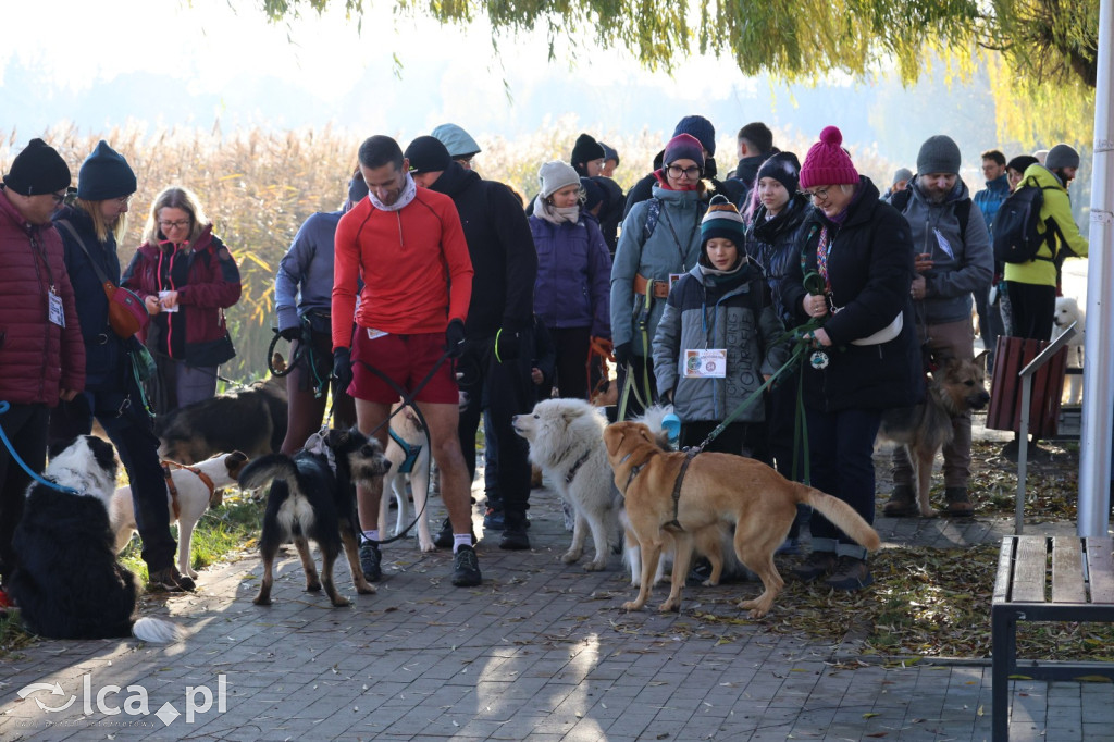 Andrzejkowy DogTrekking w Kunicach