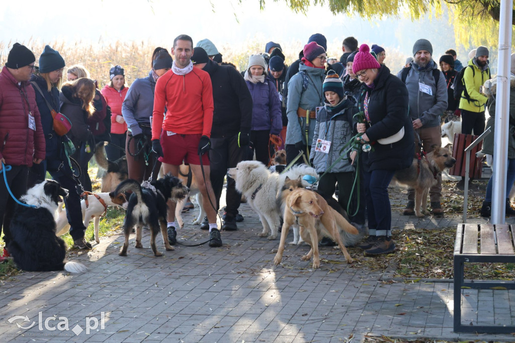 Andrzejkowy DogTrekking w Kunicach