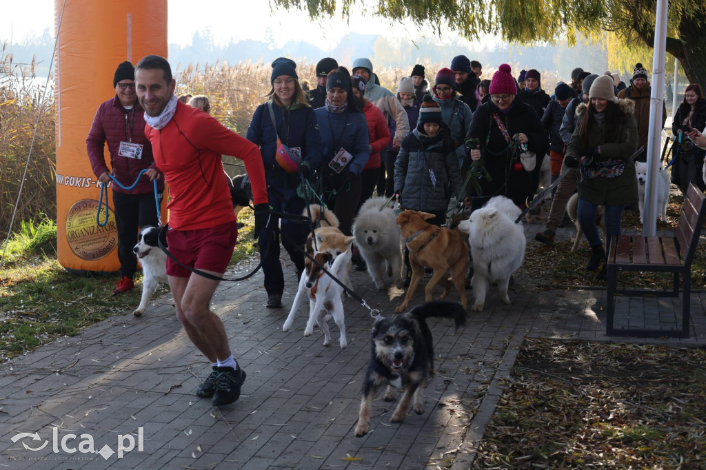 Andrzejkowy DogTrekking w Kunicach