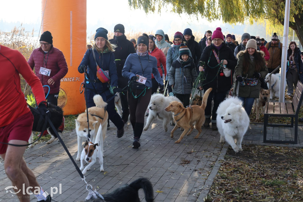 Andrzejkowy DogTrekking w Kunicach