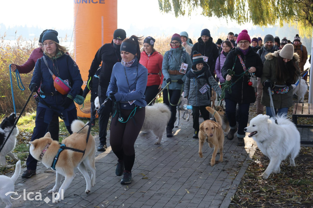 Andrzejkowy DogTrekking w Kunicach