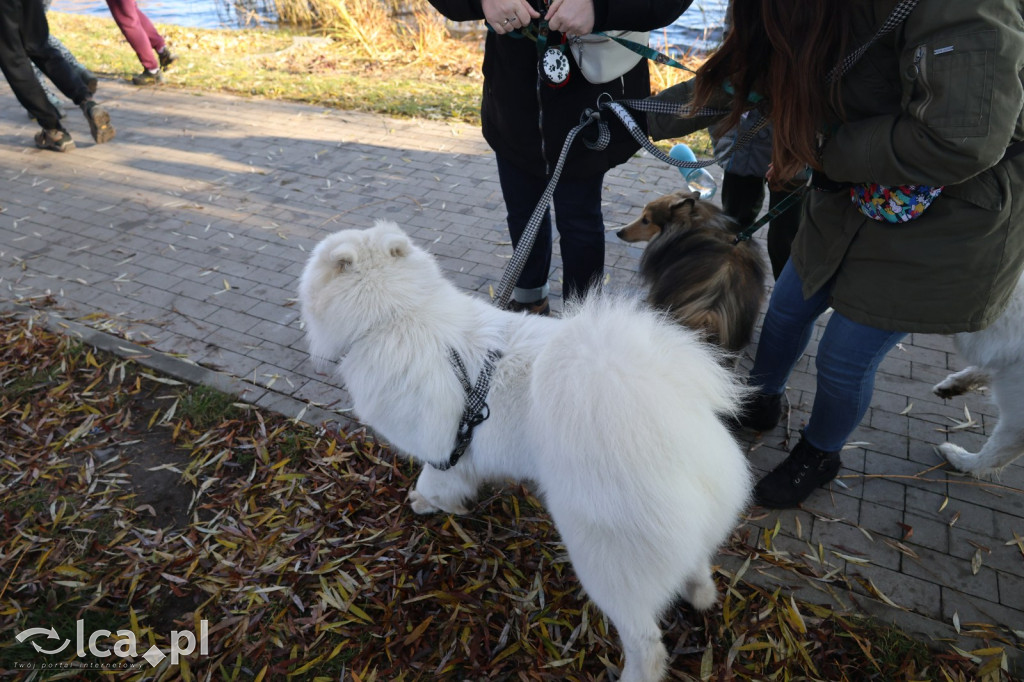 Andrzejkowy DogTrekking w Kunicach