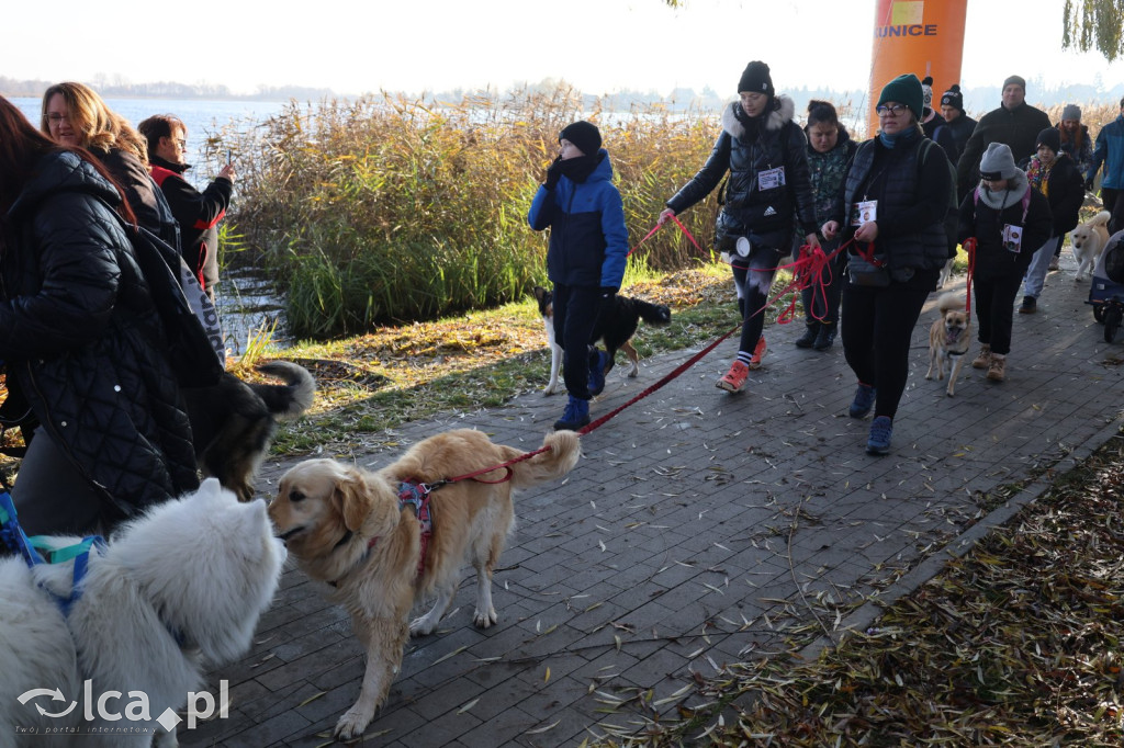 Andrzejkowy DogTrekking w Kunicach