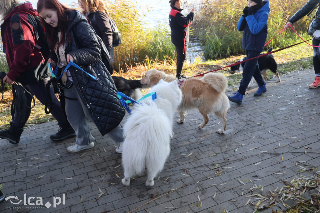 Andrzejkowy DogTrekking w Kunicach