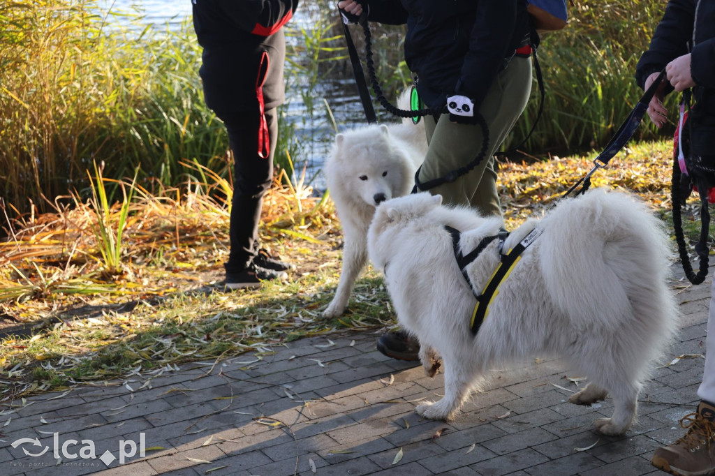 Andrzejkowy DogTrekking w Kunicach