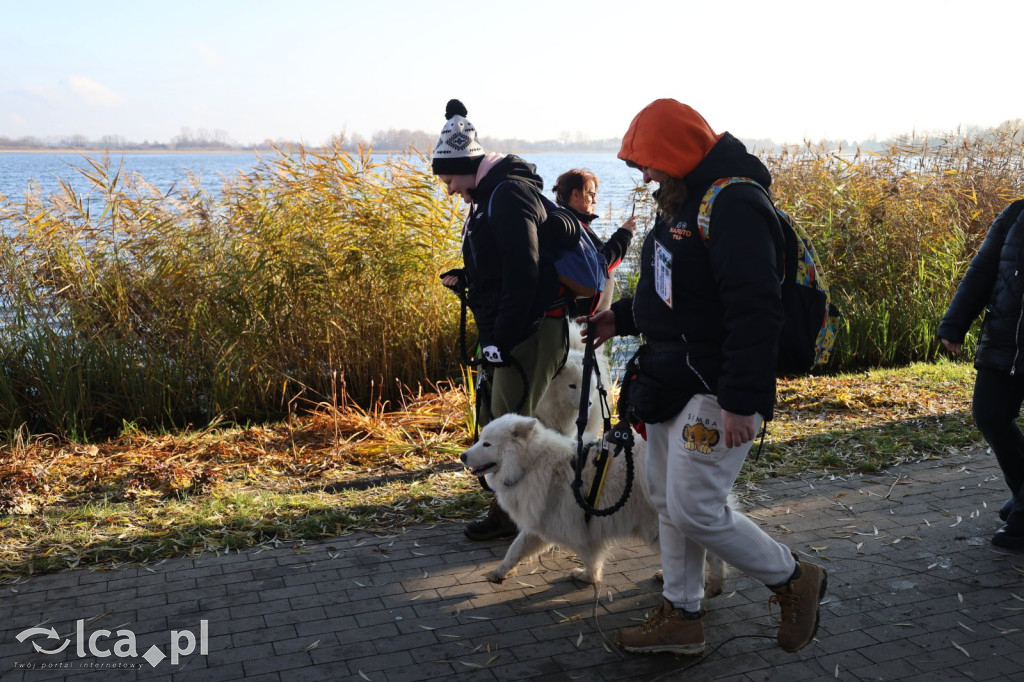 Andrzejkowy DogTrekking w Kunicach