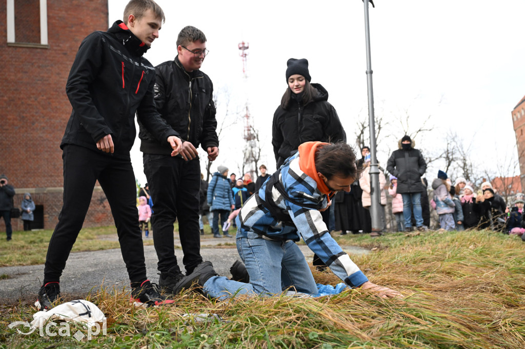 Orszak Trzech Króli przeszedł ulicami Legnicy