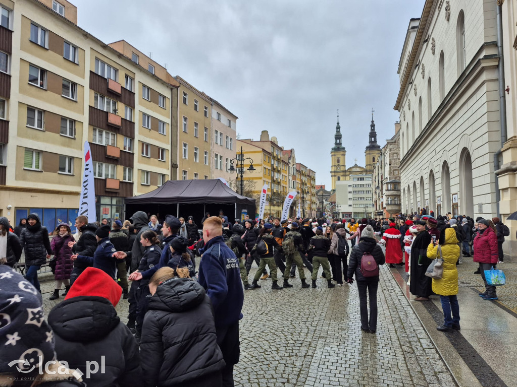 Polonez Witelona po raz drugi w historii