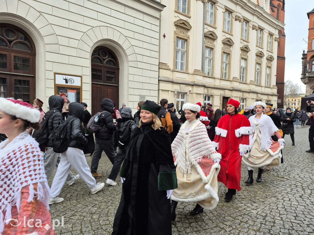 Polonez Witelona po raz drugi w historii