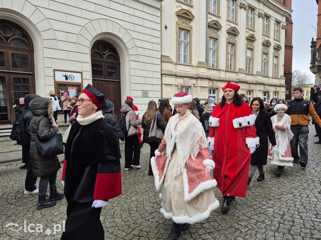 Polonez Witelona po raz drugi w historii