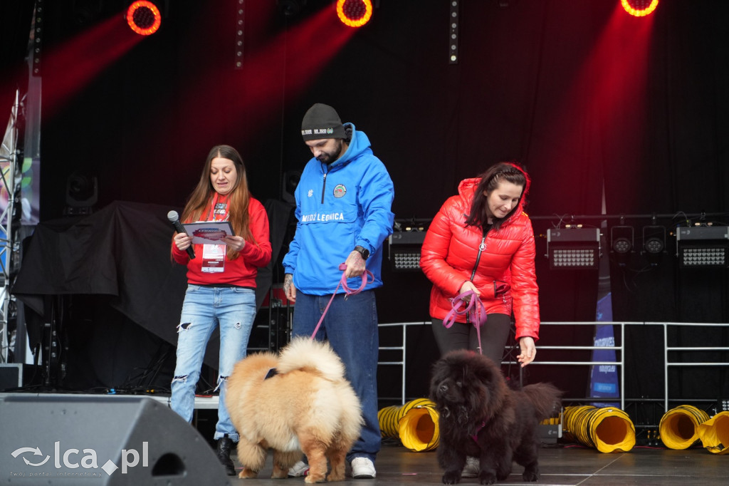 WOŚP: Legnica gra pełną parą