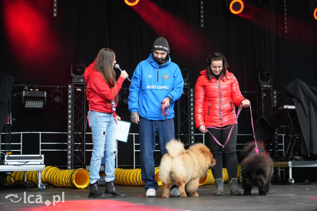 WOŚP: Legnica gra pełną parą