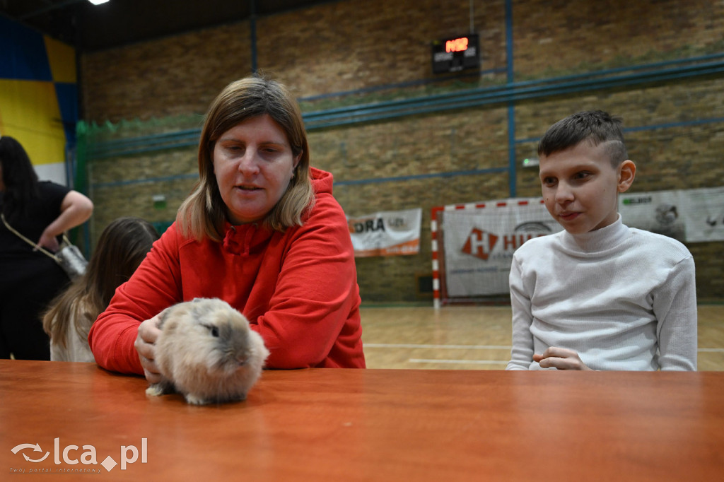 Dziecięca wystawa zwierząt domowych