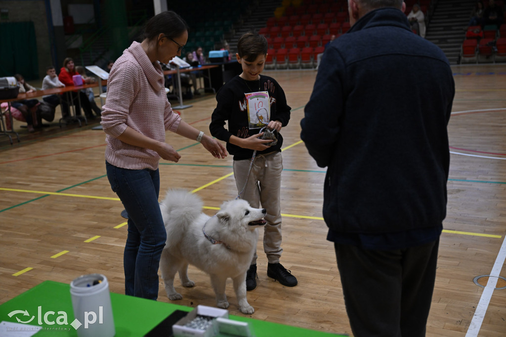 Dziecięca wystawa zwierząt domowych