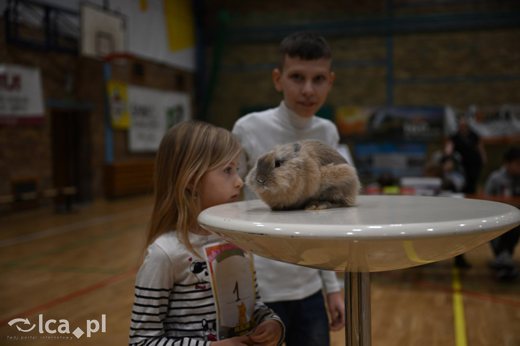 Dziecięca wystawa zwierząt domowych