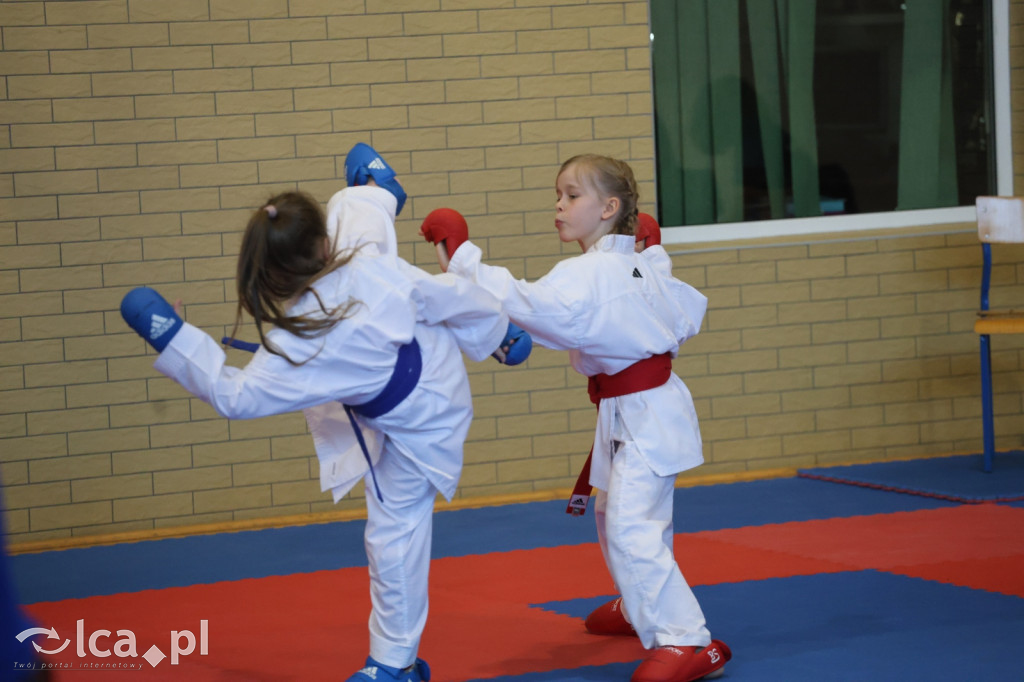 Międzynarodowy Turniej Karate WKF Arashi Cup