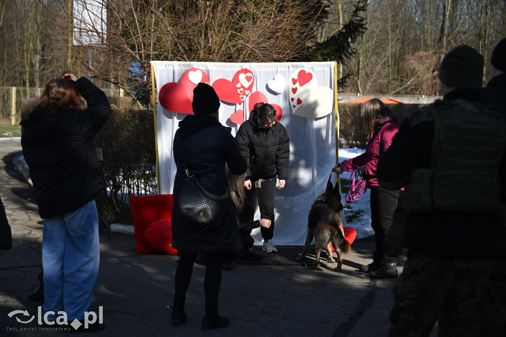 Słodkie Walentynki z bezdomniakami