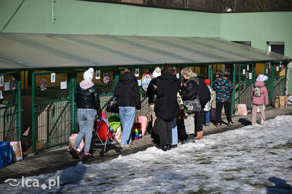 Słodkie Walentynki z bezdomniakami