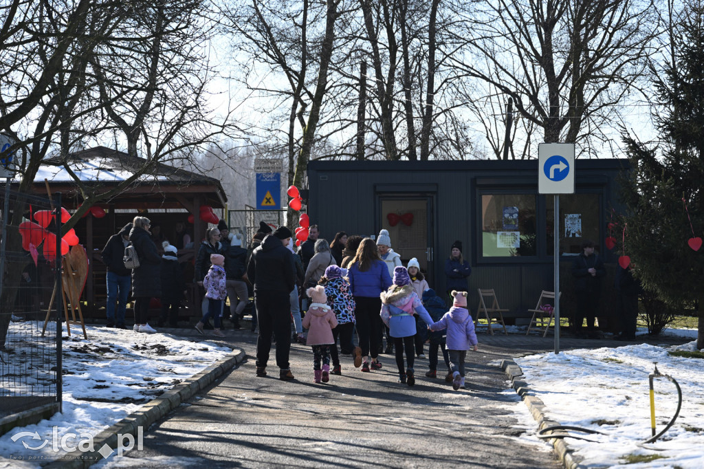 Słodkie Walentynki z bezdomniakami