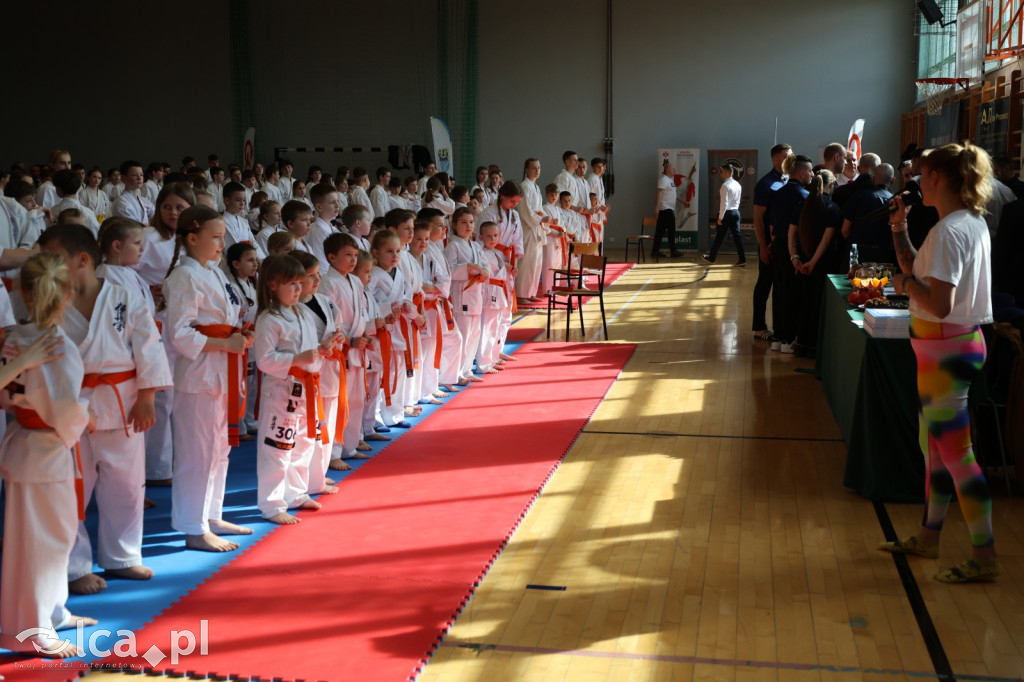 ​IX Silesia Cup – Legnickie Pole