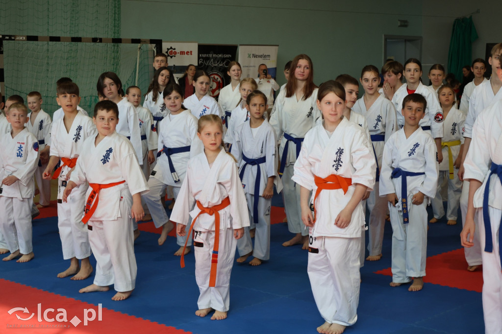 ​IX Silesia Cup – Legnickie Pole