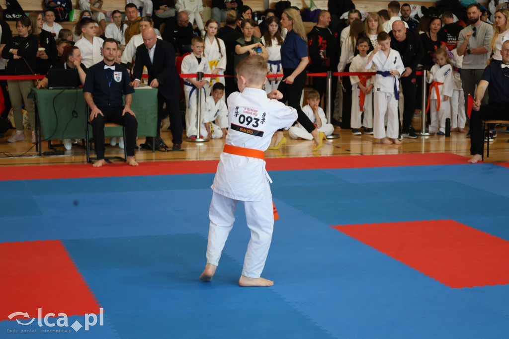​IX Silesia Cup – Legnickie Pole