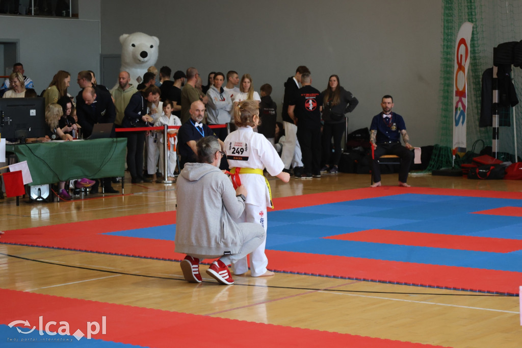 ​IX Silesia Cup – Legnickie Pole