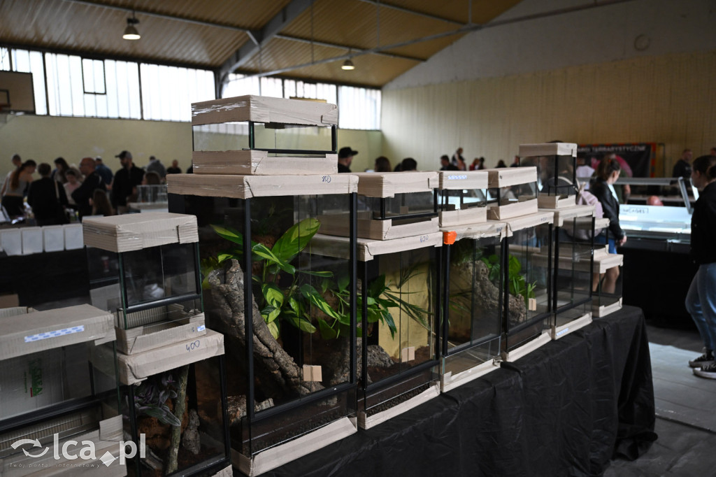 Targi terrarystyczne Exoticarium
