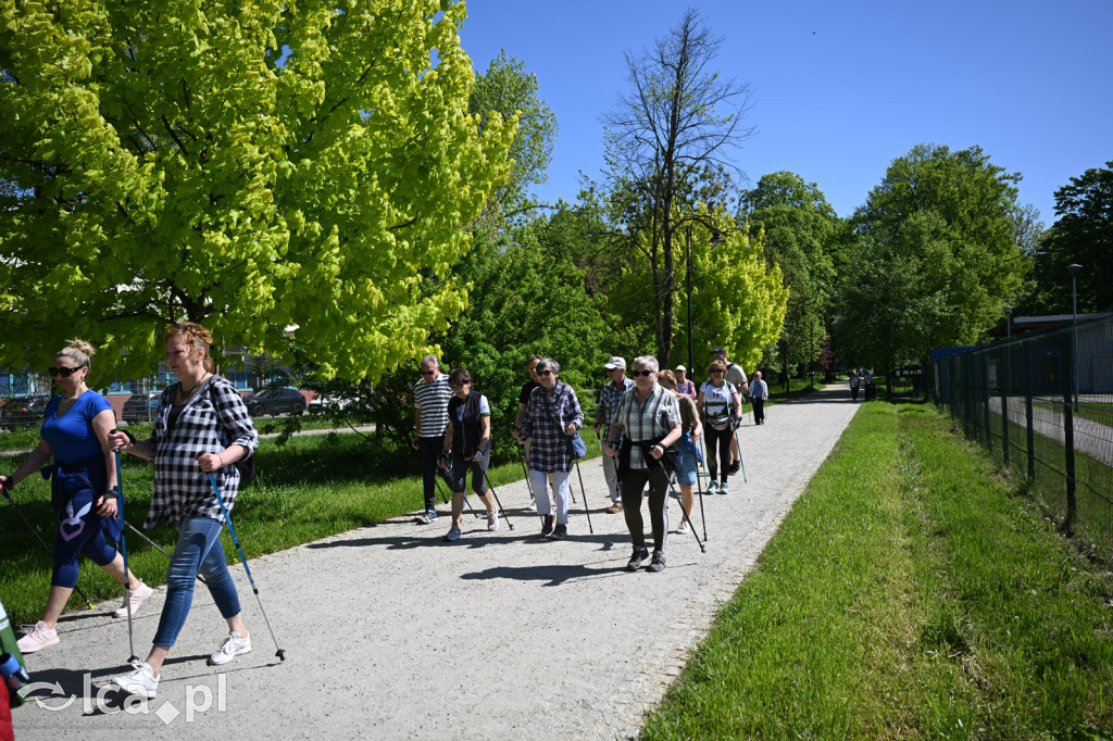 Z kijkami i Drapikami ruszyli przez park