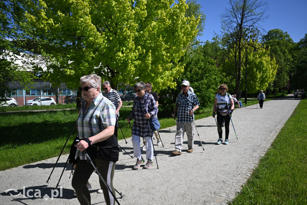 Z kijkami i Drapikami ruszyli przez park