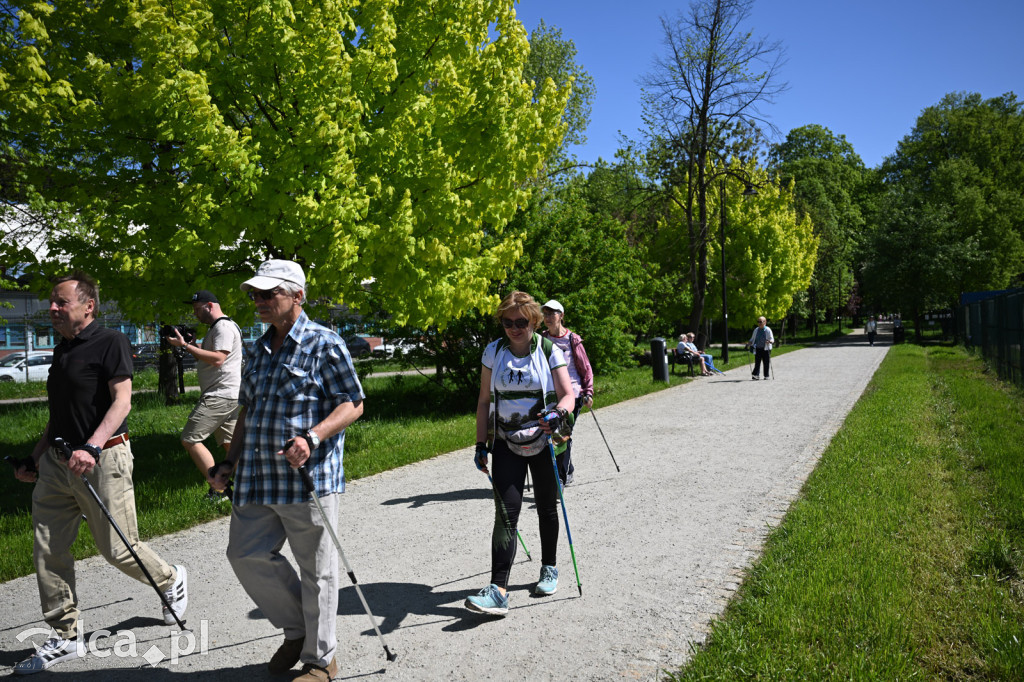 Z kijkami i Drapikami ruszyli przez park