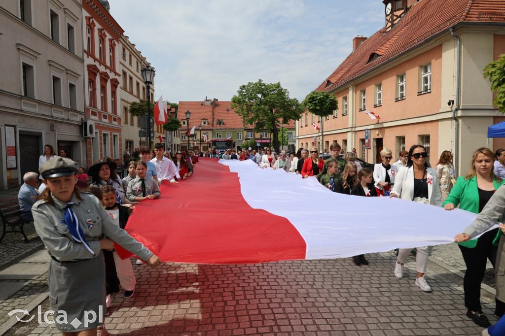 Patriotyczna Majówka w Prochowicach